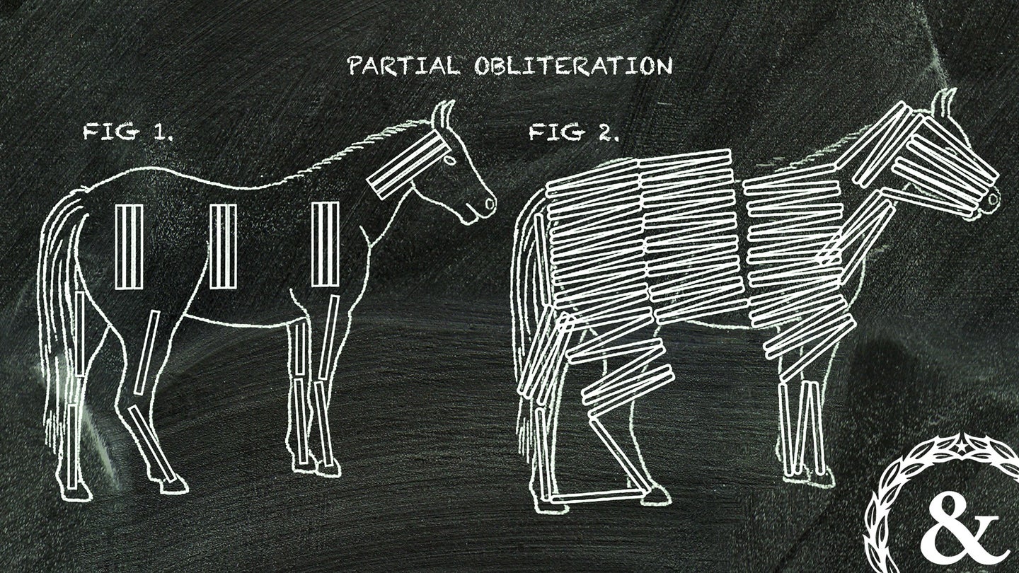 A U.S. Forest Service guide from 1995 shows where to put explosives to partially or completely obliterate a horse carcass. (Task & Purpose illustration)