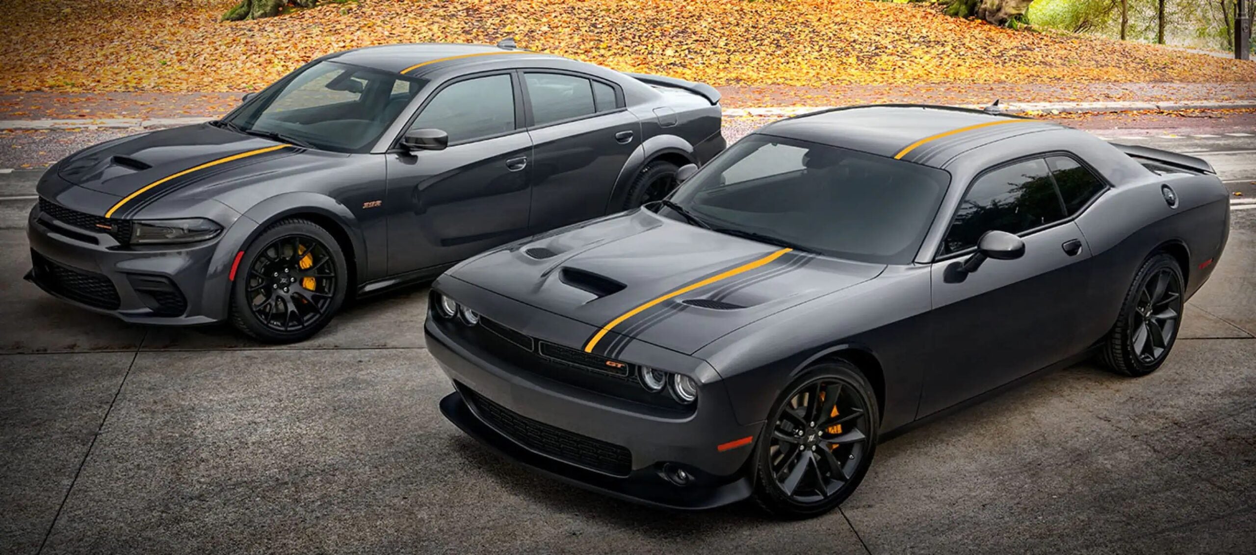 The Dodge Challenger and Charger are dead. Here are the best rides to blow your paycheck on instead