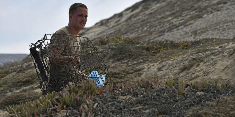 We salute the sailors who spent an entire day picking up a literal ton of trash on a remote island