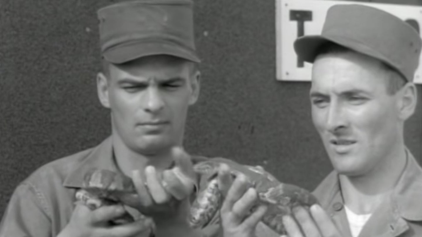 Ranger School will make you a reptile guy. (Task & Purpose/U.S. Army)