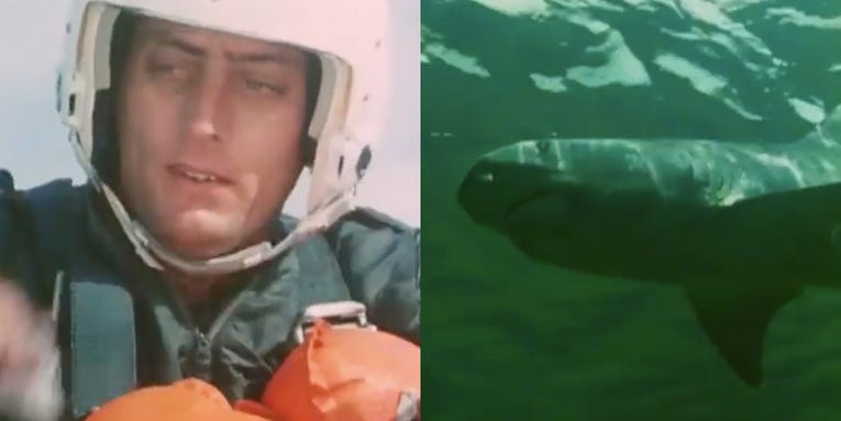 What this retro Air Force training video gets right (and wrong) about fighting off sharks