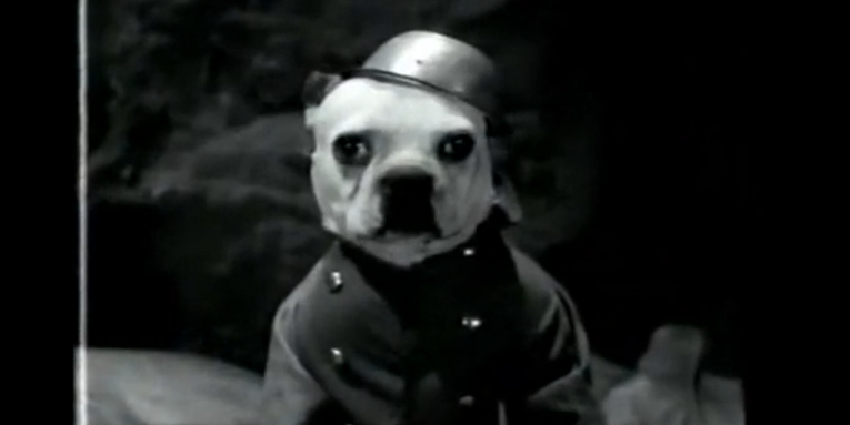 That time they made a parody of ‘All Quiet on the Western Front’ starring dogs