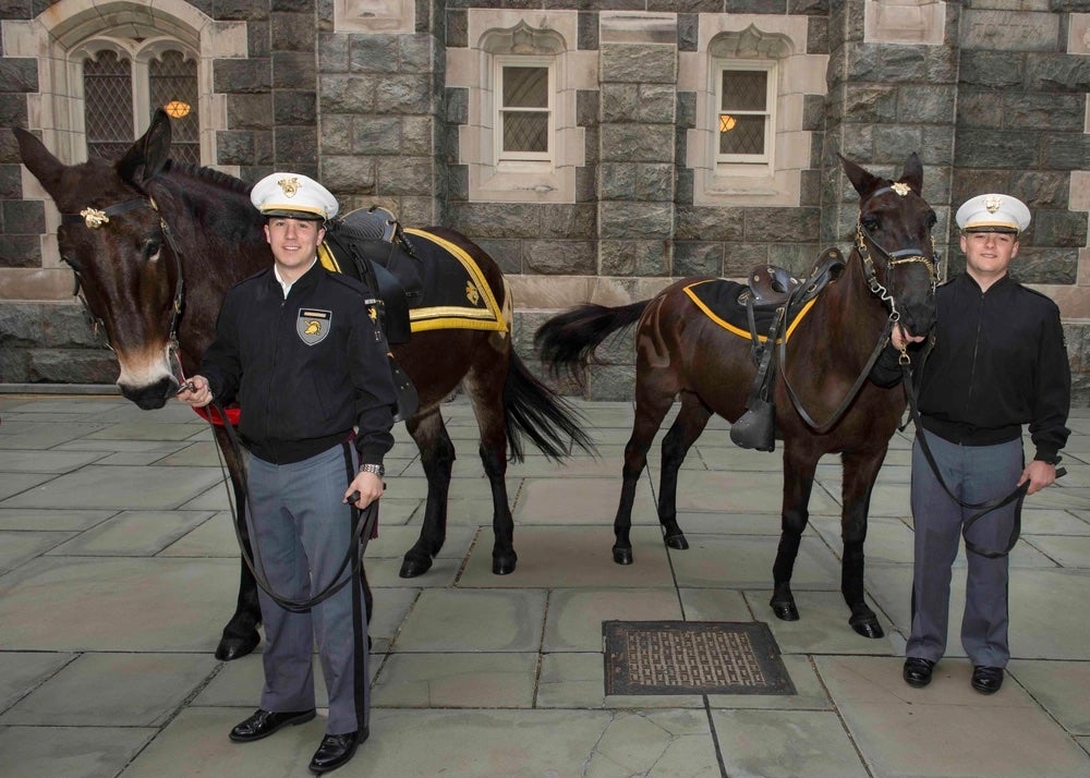 How a Navy ‘assault team’ once stole all four of West Point’s treasured mules