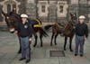 West Point’s new Army Mule mascot, Paladin, officially reported for duty March 31 during a simulated Reception Day ceremony at the U.S. Military Academy, March 31, 2016. (John Pellino/U.S. Army)