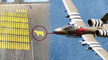 The real story behind how an A-10 Warthog ended up with a cow kill marking