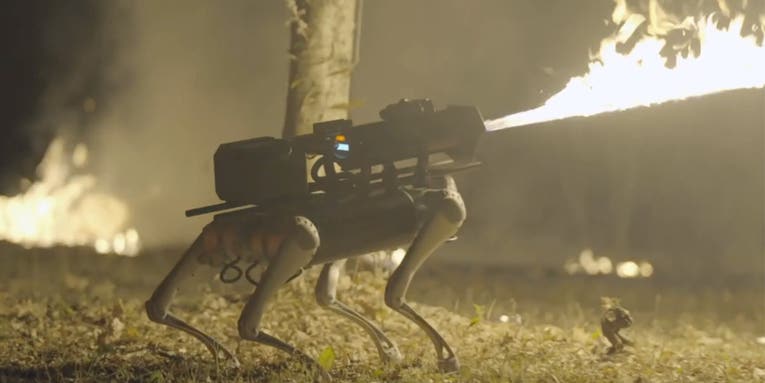 This flame-throwing robot dog is the stuff of nightmares