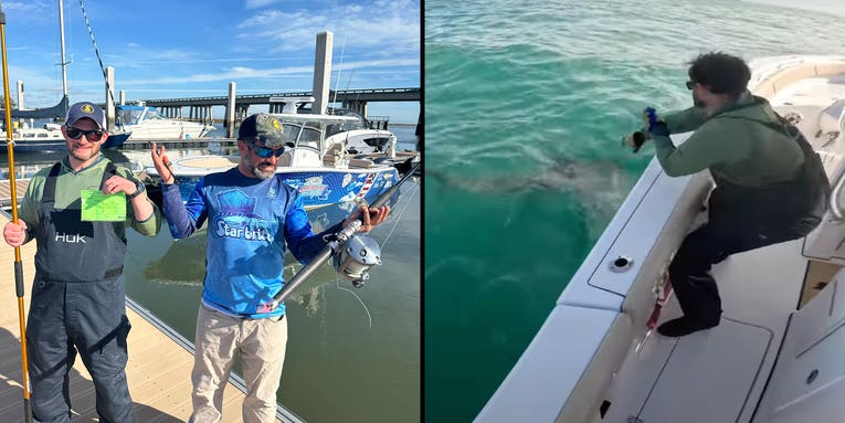 Two former Rangers tag great white shark in memory of fallen Ranger