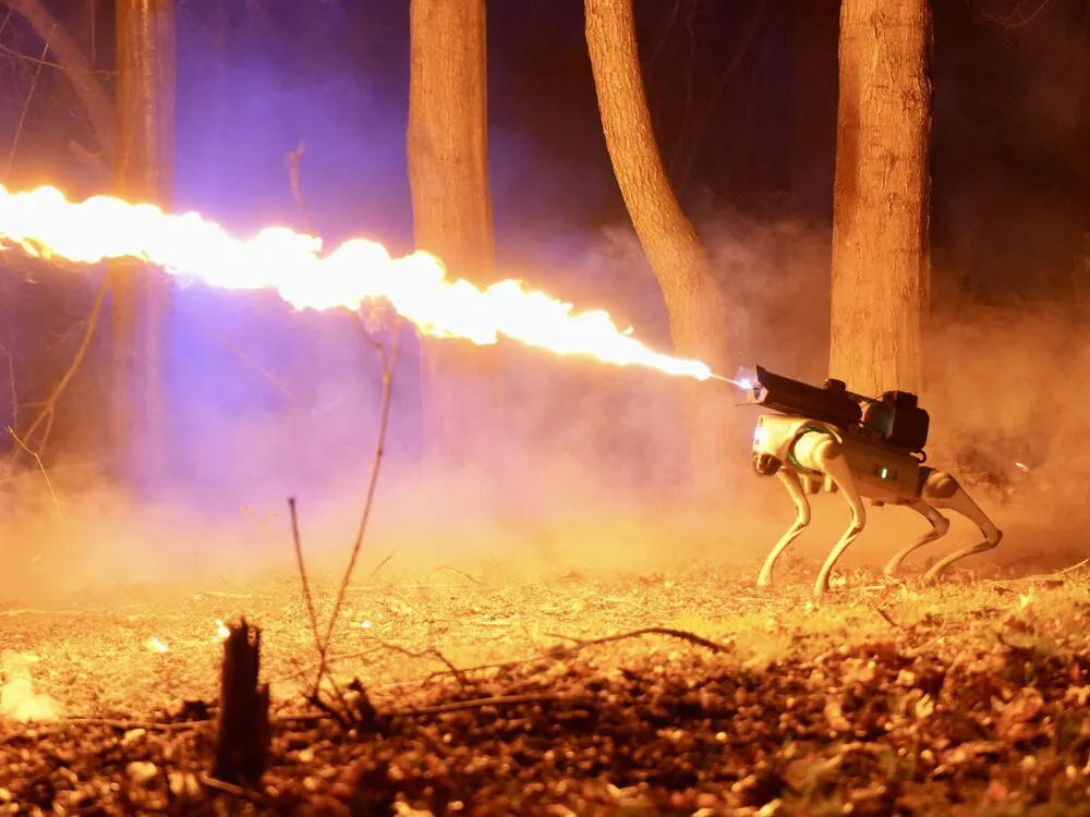 Throw Flame's robot dog equipped with its AFC flamethrower, known as the Thermonator. Photo from the company's Instagram page.
