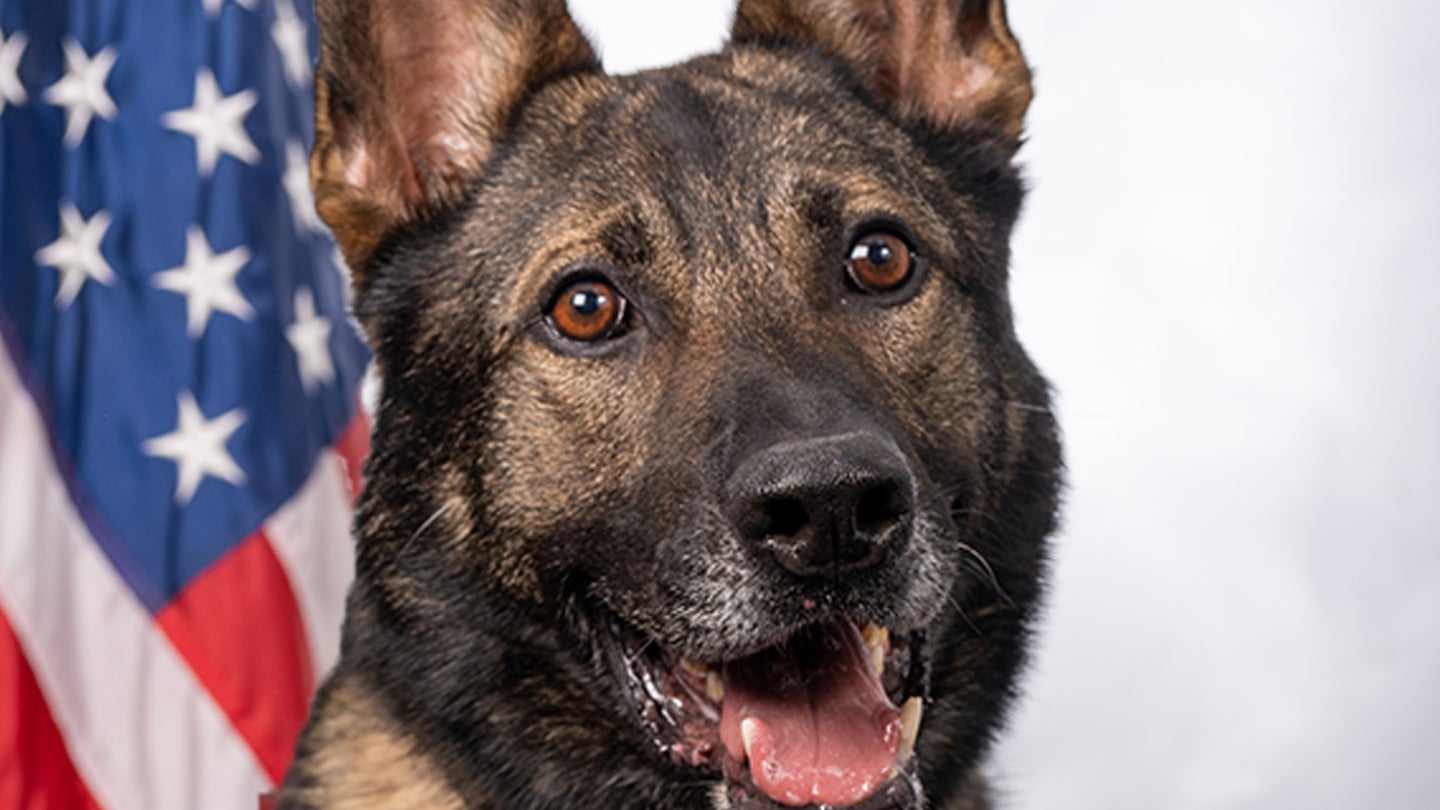 It’s Military Working Dog official picture day