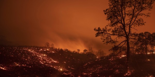 DoD To Send 200 Soldiers To Fight Wildfires As Western States Burn