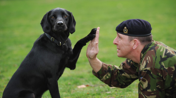 This Handler Found The Perfect Way To Honor The Memory Of His Fallen Military Working Dog