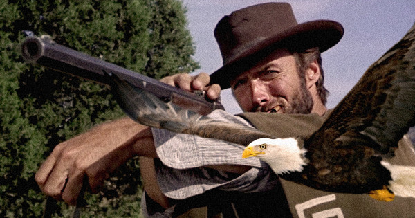 Army Vet Uses Rifle To Rescue Bald Eagle Clint Eastwood-Style