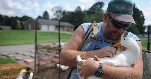 Iraq War Vet Can Keep His Ducks For Help With PTSD, Local City Council Says