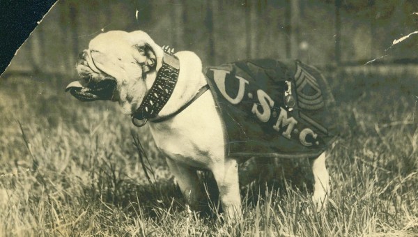 If You Thought Chesty The Bulldog Was The Original Corps Mascot, You’d Be Wrong