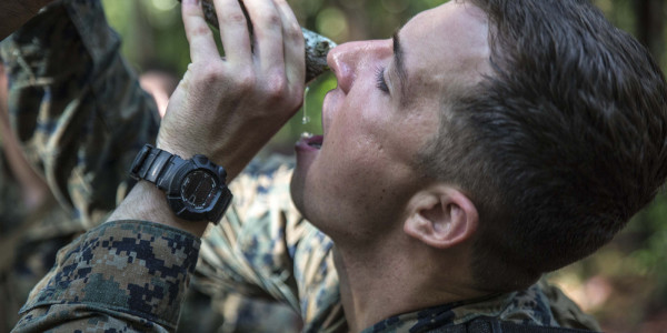 Stationed At Camp Pendleton? Enjoy These Dead Animals In Your Drinking Water