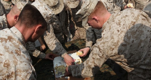 Marine sticks his hand in fire ant hill, because Marines gonna Marine