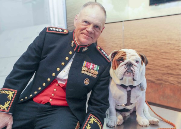 Friday Dog: Chesty XV, The Marine Corps Bulldog