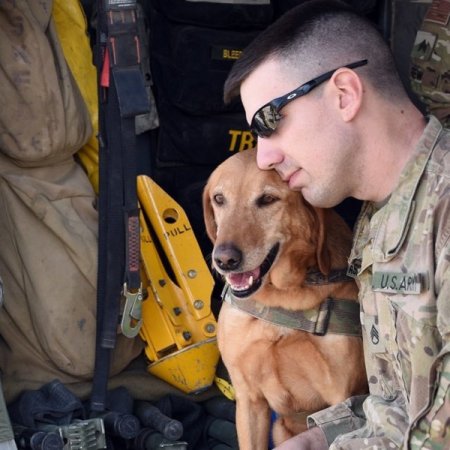 A Soldier’s Dog And A Dog’s Soldier