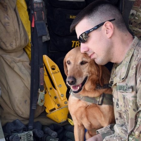 A Soldier’s Dog And A Dog’s Soldier