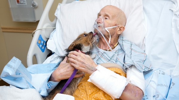 Vietnam veteran in hospice care had a simple request: To reunite with his dog one last time