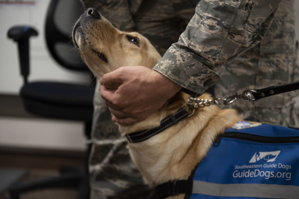 ‘It’s amazing what happens here’ — Nonprofit saves dogs from being euthanized and trains them to help veterans heal