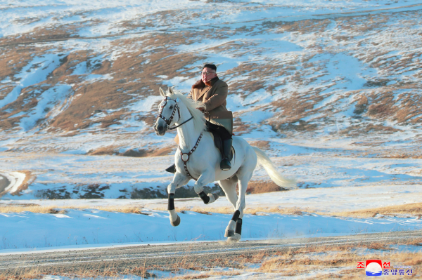 Kim Jong Un keeps spending tens of thousands of dollars on horses from Russia