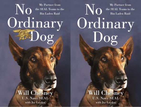 Navy tells SEAL to remove Trident from his book about Cairo, the hero dog alongside him on the Bin Laden raid