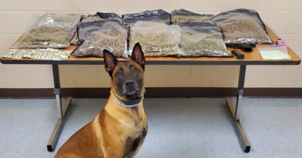 Fort Campbell soldier arrested with 15 pounds of marijuana and 500 Xanax pills