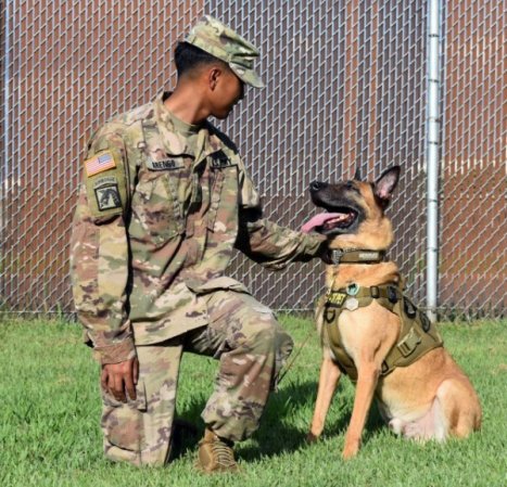 Military working dog retires to Fort Couch after pristine career