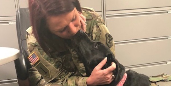 Another Soldier And Her Dog