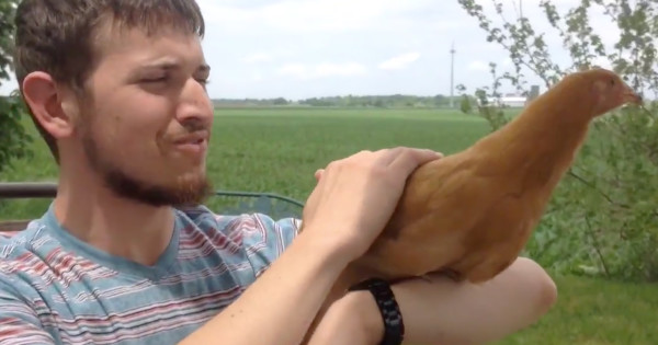 Emotional Support Chickens Are Now A Thing