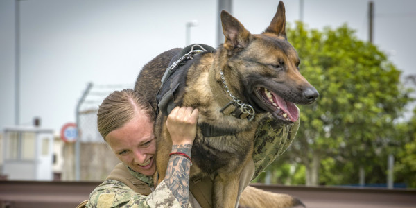 Friday Dog: Can You Give Me A Ride?