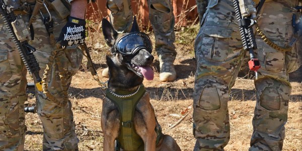 SOCOM Needs Oxygen Masks For Its Dogs So They Can HAHO Like Badasses