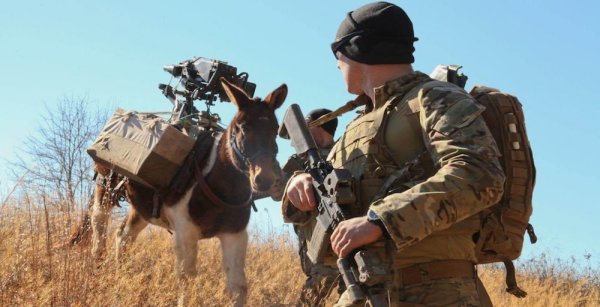 The Army’s Guide To Waging War On Horseback Is Brilliant And Ridiculous