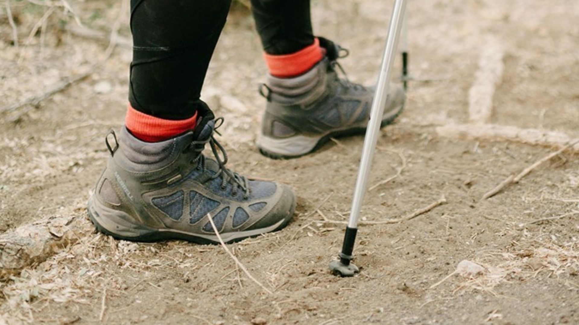 Best Hiking Poles