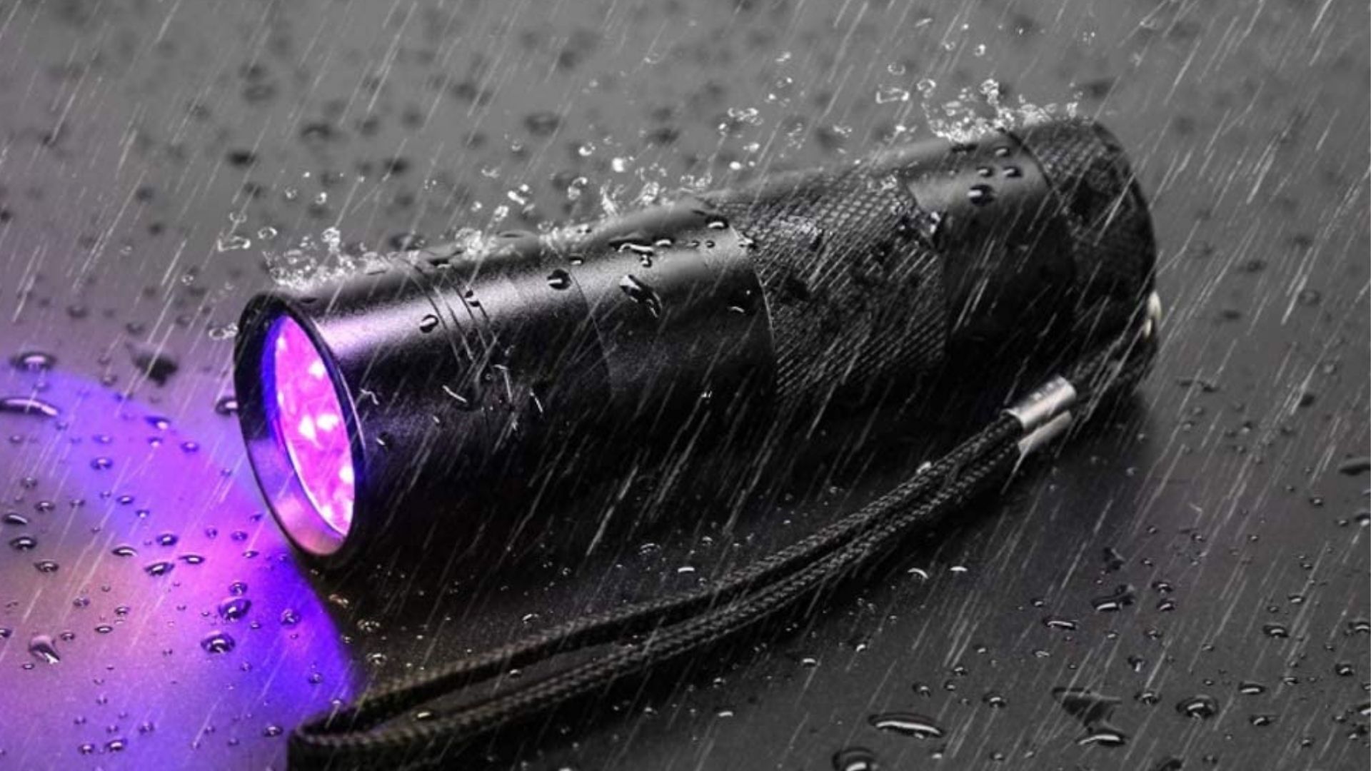 UV Flashlights