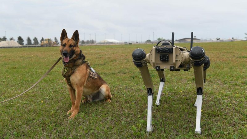 Air Force robot dogs are here and they appear to be very good boys