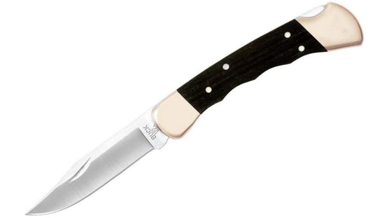  Buck 110 Folding Hunter Knife