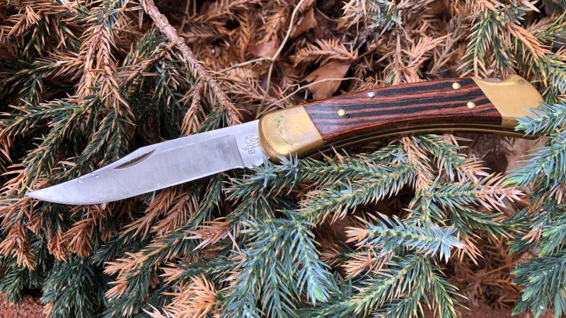 Review: Meet the Buck 110, an American legend