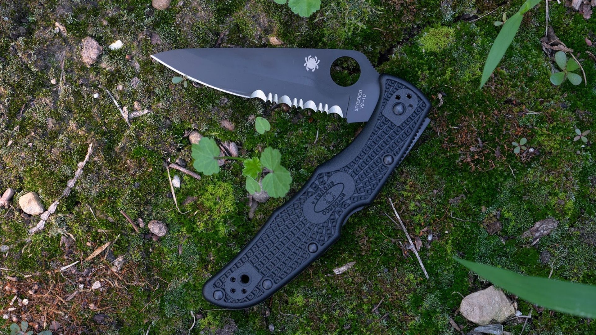 Spyderco Endura 4