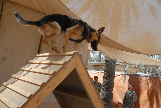 These are some of the greatest military working dogs in history