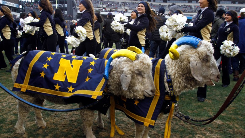 Mission failure: West Point cadets reportedly abduct the wrong goat in attempt to steal Navy’s mascot