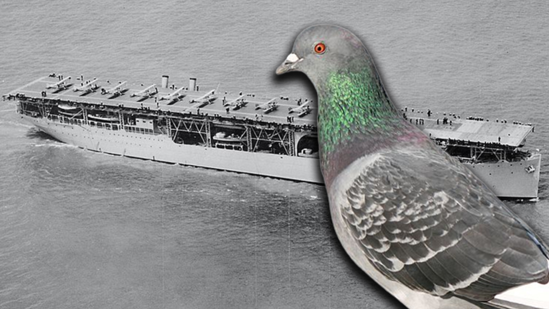 Why the Navy carried pigeons aboard its first aircraft carrier