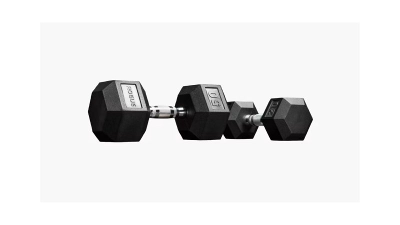  Rogue Dumbbells