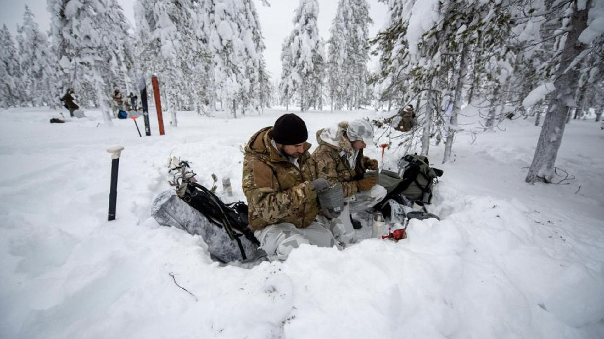 arctic warfare training