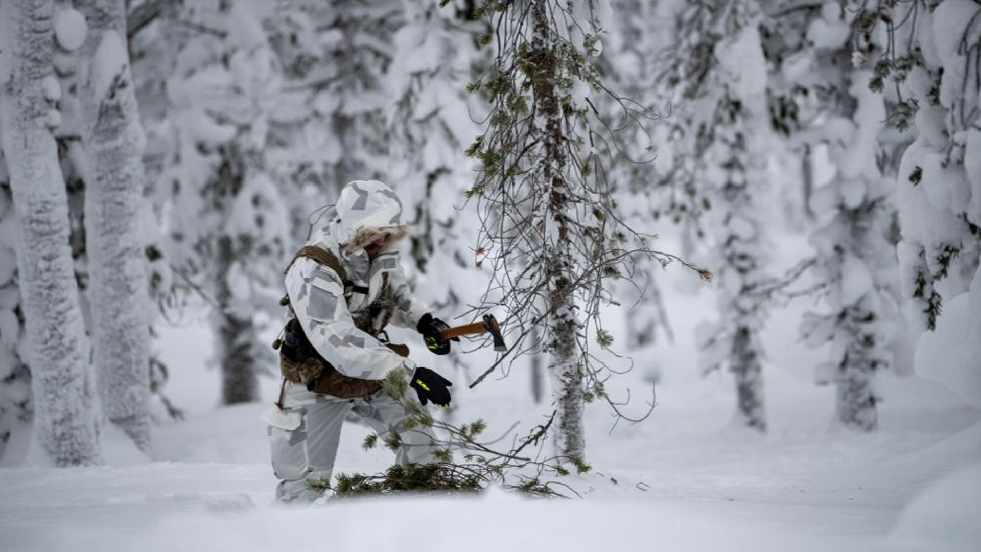 arctic warfare training