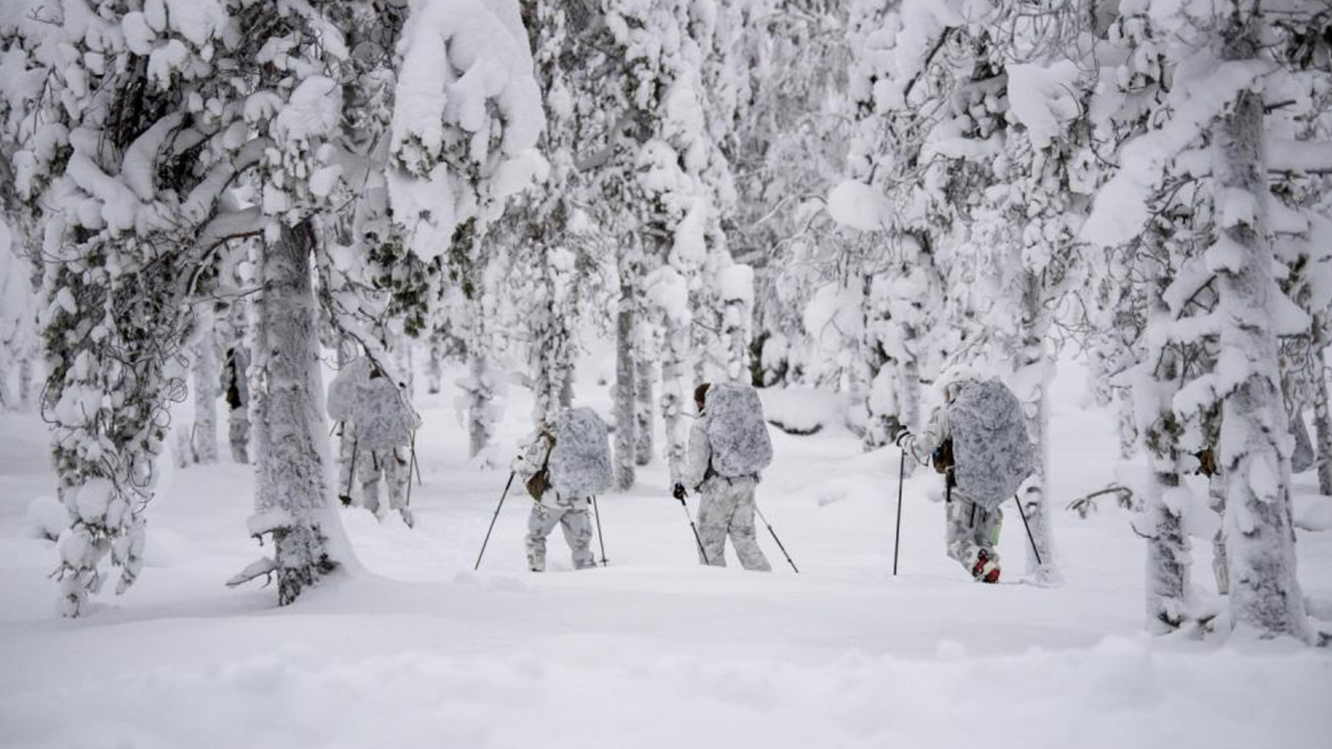 arctic warfare training