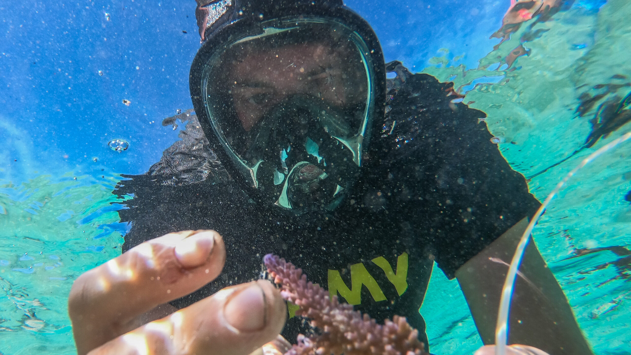 Exercise Cartwheel 2019 reef and coastal revitalization project