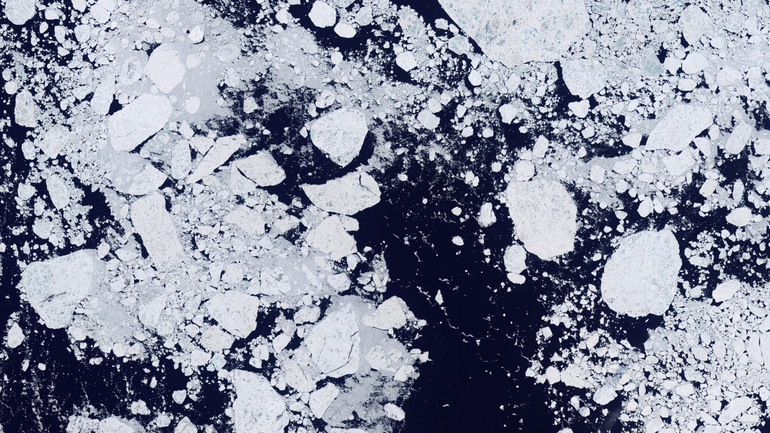 Detailed View of Arctic Sea Ice: Image of the Day