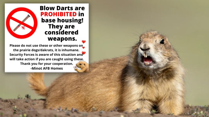 Air Force to airmen: Please stop shooting prairie dogs with blow darts